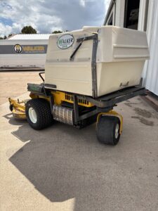1997 t20 (30553) - back